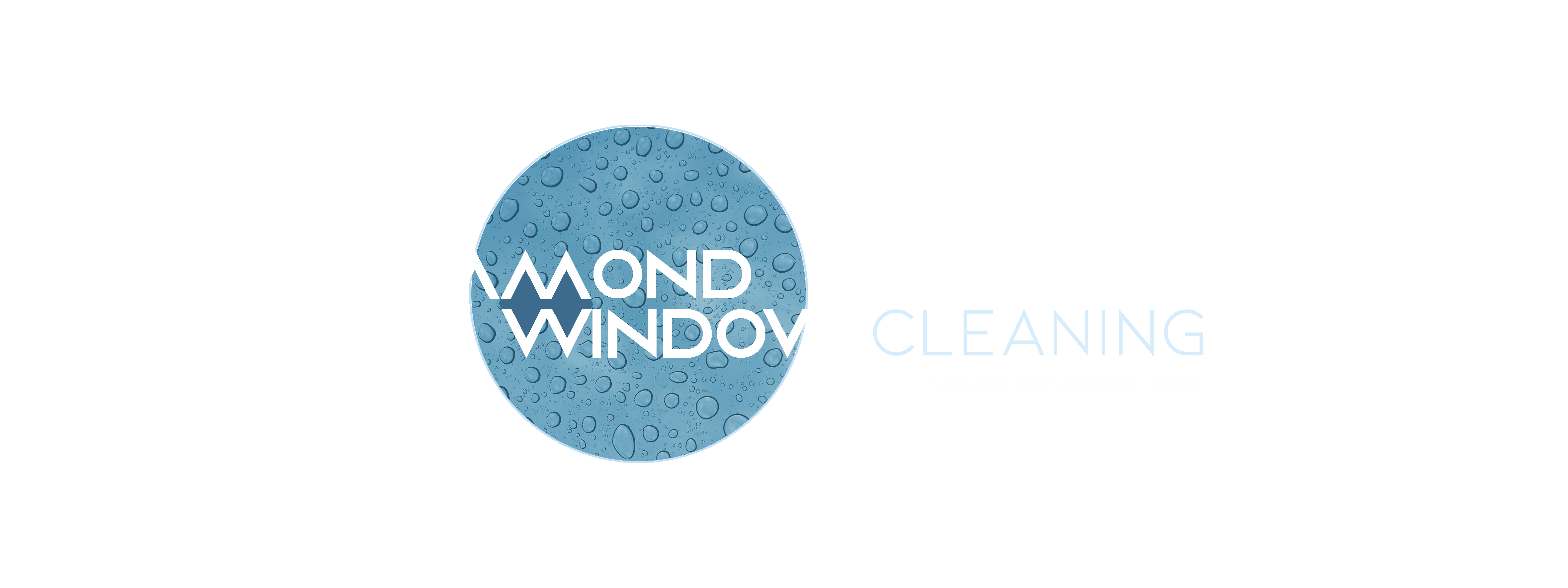 logo-bottom-vue-wcs-window-cleaner